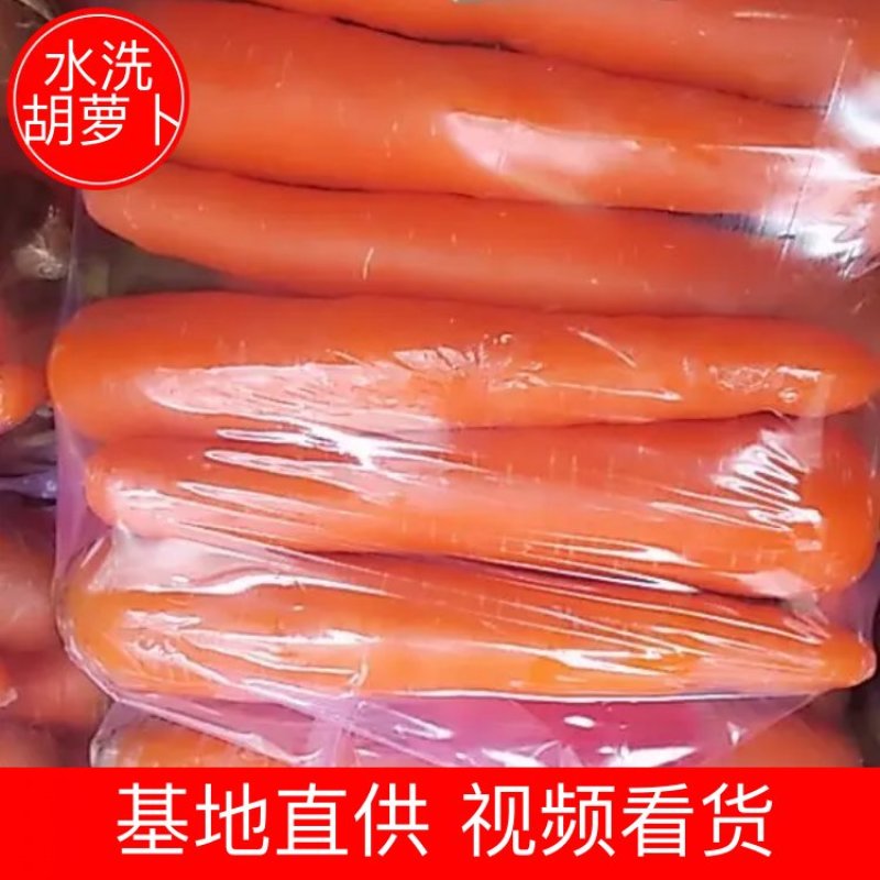 【好货】红萝卜水洗土货全苗次品全国发货超市市场欢迎来电