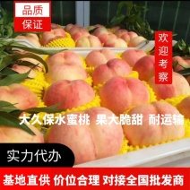 【精选】毛桃河北大久保水蜜桃果大汁甜欢迎老板联系