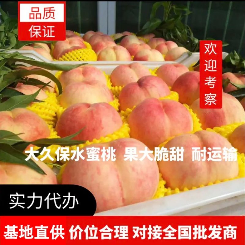 【精选】毛桃河北大久保水蜜桃果大汁甜欢迎老板联系