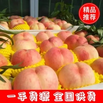 【毛桃】河北顺平大桃大量上市，品种齐全，价格便宜，可视频看货