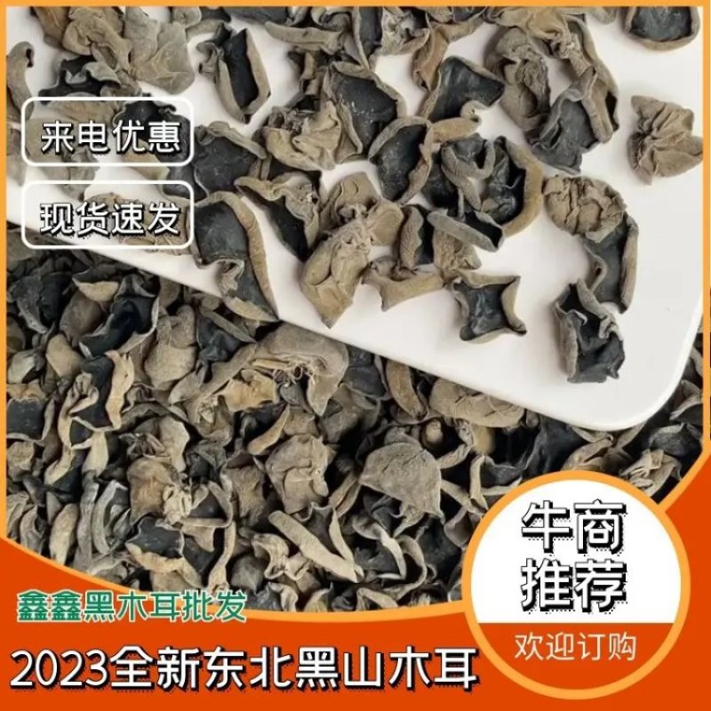 2023全新东北黑山木耳/绥芬河一手货源特级黑山1.3地棚货