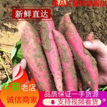 【热卖中】新鲜红薯大量供应商品薯电商薯牛薯均有欢迎来电