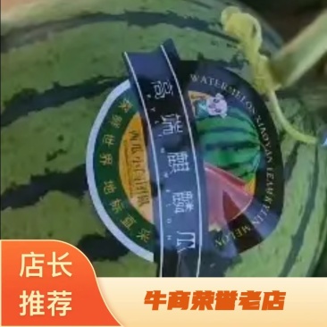 美都西瓜，产地直销，量大从优，欢迎各位老板前来选购