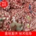 【山东狗芽子】大蒜头大量上市中！做盐糖蒜可支持视频看货！