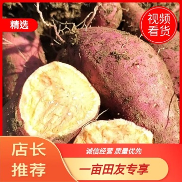 湖南高品质西瓜红产地直供对接全国欢迎来点咨询