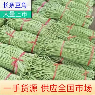 精品开封【长豆角】大量现货精选质量保证价格美丽