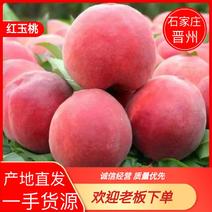 红不软桃晋州市一手货源红玉桃产地直发品质欢迎骚扰