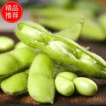 安徽省阜阳市临泉县精品毛豆，货源充足产地直发