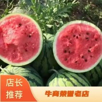 精品西瓜下单秒发