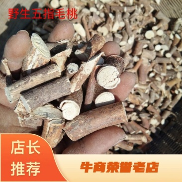 纯野生五指毛桃精选中段选货日晒足干无硫香味浓郁保证野生货