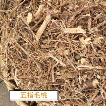 中药材野生五指毛桃去头砍段干货，货源充足，欢迎联系