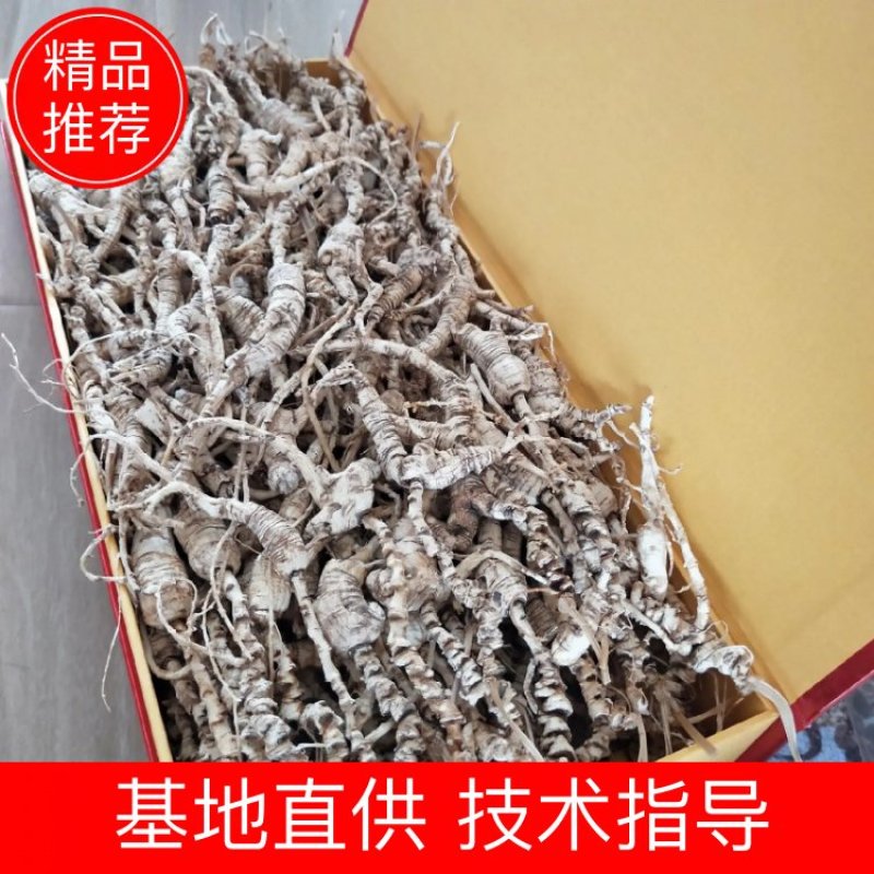 40年山参干残枝，一手货源，产地直发，来电咨询