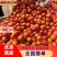 【硬粉西红柿】颜色鲜亮耐运输价格美丽代办一条龙服务
