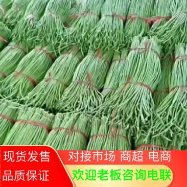 精品大棚豆角品质上床长直无虫眼产地现摘现发欢迎来电