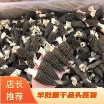 2025年新羊肚菌干品纯头茬货新鲜上市