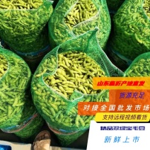 毛豆精品翠绿宝毛豆，产地直供，保质保量，全国，