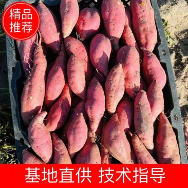 [热卖]海南红薯蜜薯小香薯产地直发可视频看货