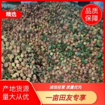 荔枝漳州荔枝货源充足包装齐全量大从优欢迎咨询