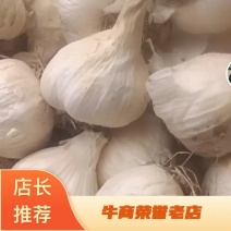 大蒜精品大蒜产地直供保质保量，量大从优诚信经营