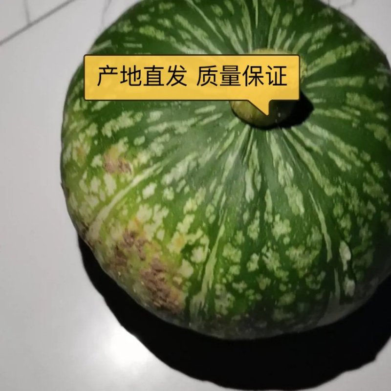 密本南瓜产地直发货源充足诚信合作量大从优欢迎来电