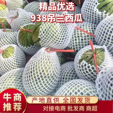 【精选】吊蓝西瓜938奶油西瓜品质好价格优供应全国