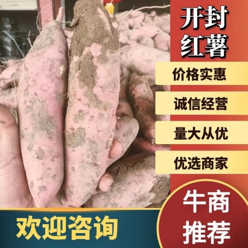 开封龙九红薯/精品龙薯西瓜红均供应市场商超电商来电