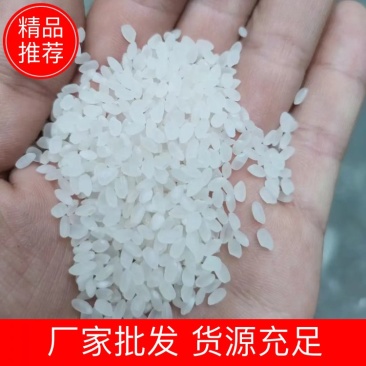精品珍珠米长粒香厂家现货陈米圆粒米货源充足