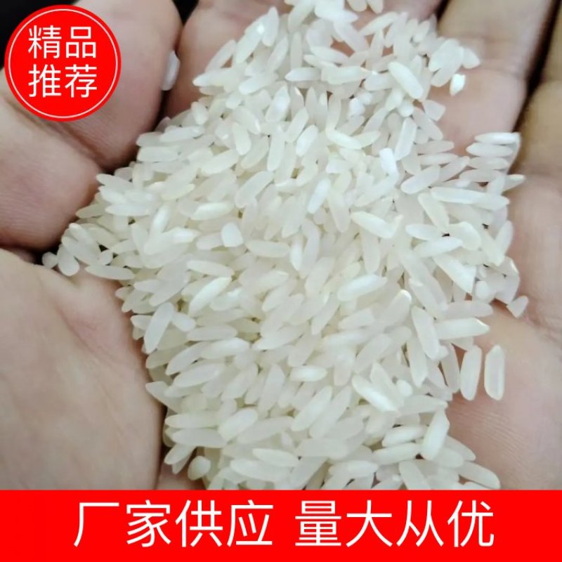 精品长粒香大米金龙鱼大米米厂供应量大从优