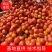 山东菏泽精品西红柿产地直供大量有货对接市场批发欢迎采购