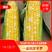 【牛】河北双色水果玉米产地直销，保质保量可视频看货