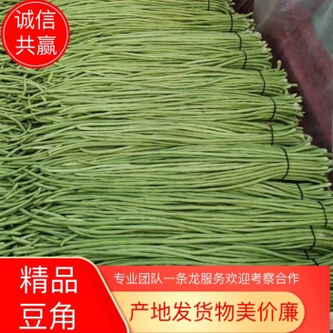 【热卖中】开封长豆角大量上市质量好，可视频看货