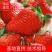 【产地直发】安徽阜阳新鲜奶油草莓当季现摘精选草莓全国批发