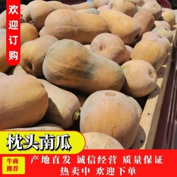 便宜！枕头南瓜城固南瓜供电商市场商超产地直发真便宜