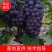 陕西葡萄精品夏黑葡萄产地价格批发颗粒大口感纯甜