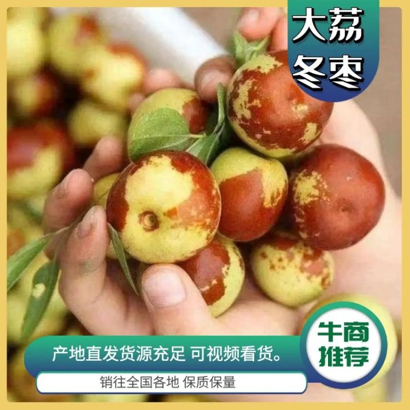 热卖！大荔冬枣产地发货一手货源全国代发价格优惠