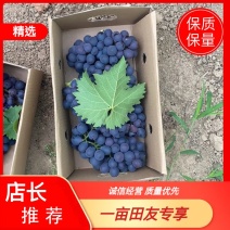 精品玫瑰香电商货，电商货只做品质，稳定供应，口感特别甜