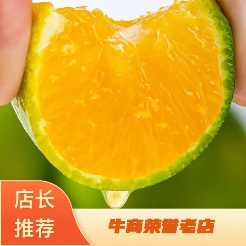 【代发全国】精品云南高山蜜橘大量供应品质保障质优价
