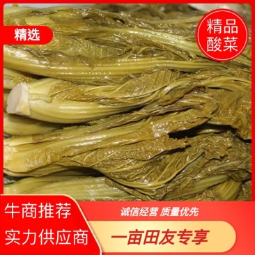云南酸菜品质保证诚信经营欢迎联系自家加工接商超市场电商