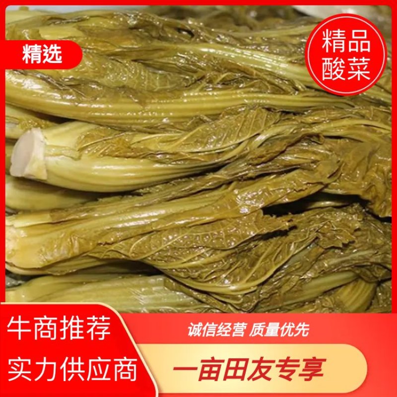 云南酸菜品质保证诚信经营欢迎联系自家加工接商超市场电商