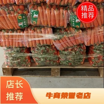 开封胡萝卜通许大红胡萝卜规格齐全代发全国市场欢迎来电