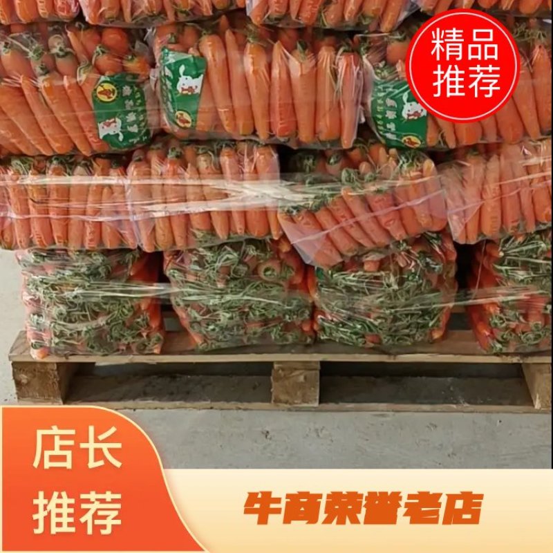 开封胡萝卜通许大红胡萝卜规格齐全代发全国市场欢迎来电