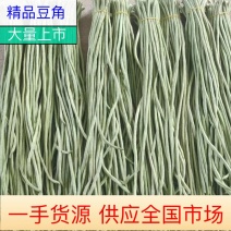 【精品】长条豆角青豆角大量上市产地直供价格美丽