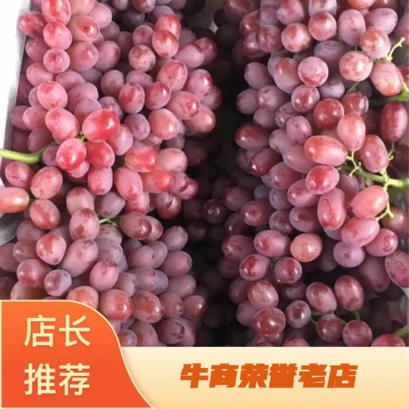 云南精品克伦生葡萄无籽葡萄口感脆脆产地直供质量保证