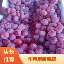云南红提葡萄一手货源产地直供质量保证