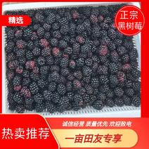 [热卖]贵州黑树莓产地直发全国发货可视频