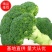 『店长推荐』精品西兰花大量上市,货源充足,欢迎全国客商