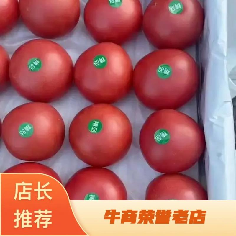 （推荐）精品大红西红柿大量上市，需要的老板提前联系。
