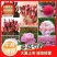 中国牡丹之都菏泽正宗精品观赏芍药切花芍药保品种保对版