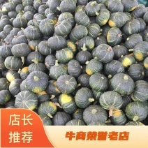 黑皮南瓜板栗南瓜铁球子河北保定大量上市
