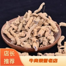 巴戟天巴戟肉【鲁赣药材】现货供应中药材批发